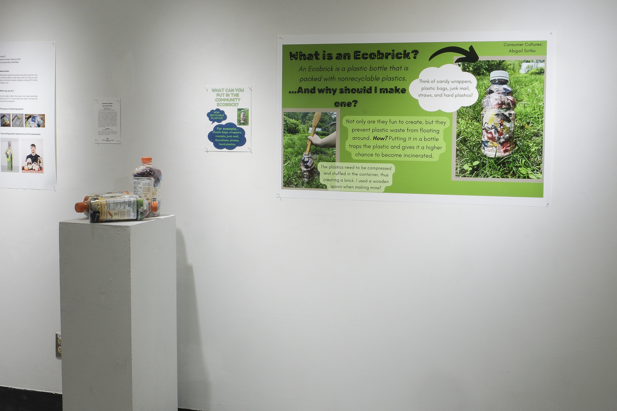 Poster for project Ecobricks